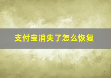 支付宝消失了怎么恢复