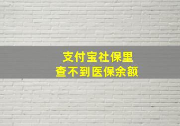 支付宝社保里查不到医保余额