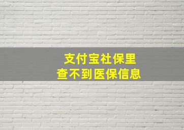 支付宝社保里查不到医保信息