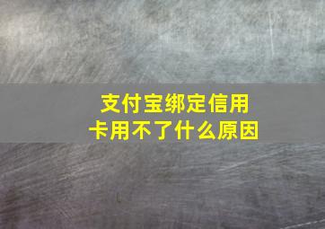 支付宝绑定信用卡用不了什么原因