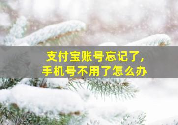 支付宝账号忘记了,手机号不用了怎么办