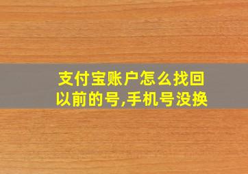 支付宝账户怎么找回以前的号,手机号没换