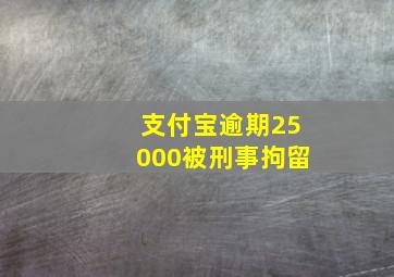 支付宝逾期25000被刑事拘留