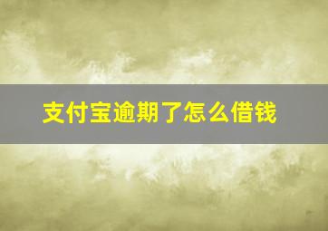 支付宝逾期了怎么借钱