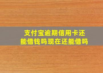 支付宝逾期信用卡还能借钱吗现在还能借吗