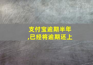 支付宝逾期半年,已经将逾期还上