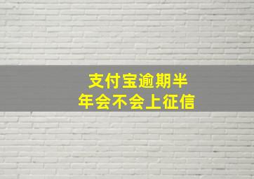 支付宝逾期半年会不会上征信