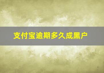 支付宝逾期多久成黑户