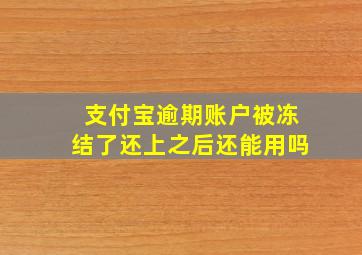 支付宝逾期账户被冻结了还上之后还能用吗