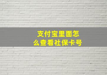 支付宝里面怎么查看社保卡号