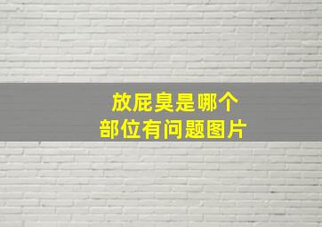 放屁臭是哪个部位有问题图片