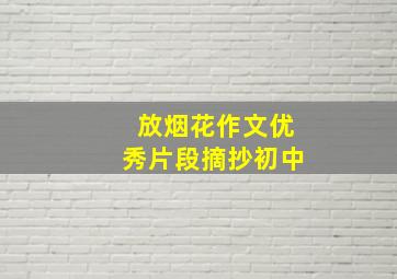 放烟花作文优秀片段摘抄初中