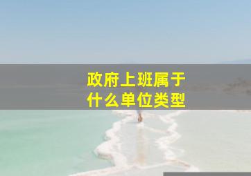 政府上班属于什么单位类型