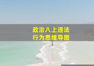 政治八上违法行为思维导图