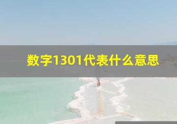 数字1301代表什么意思