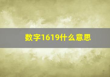 数字1619什么意思