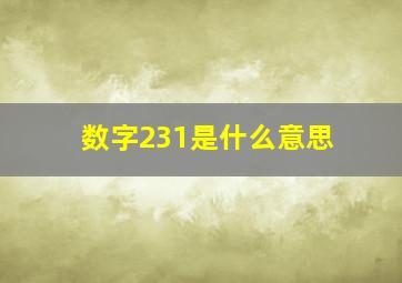 数字231是什么意思