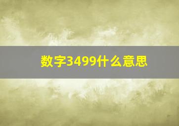 数字3499什么意思