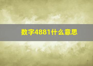 数字4881什么意思