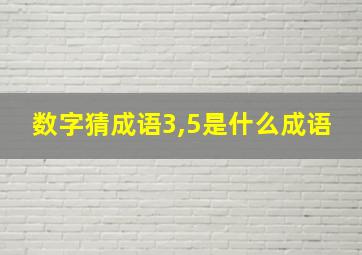 数字猜成语3,5是什么成语