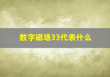 数字磁场33代表什么