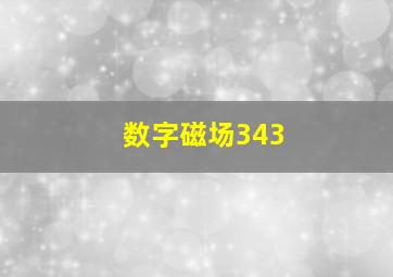 数字磁场343