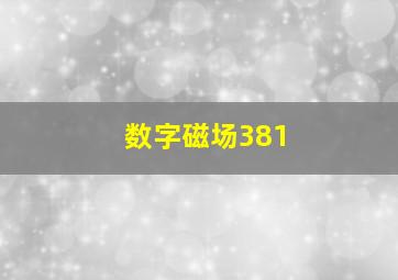 数字磁场381