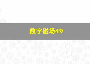 数字磁场49