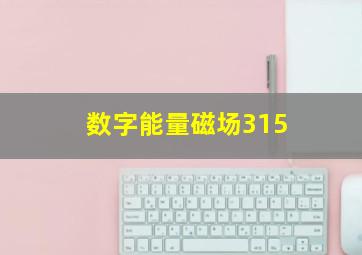 数字能量磁场315