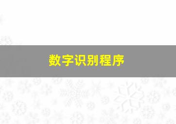 数字识别程序