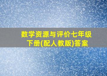 数学资源与评价七年级下册(配人教版)答案