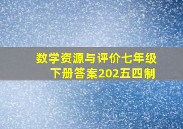 数学资源与评价七年级下册答案202五四制