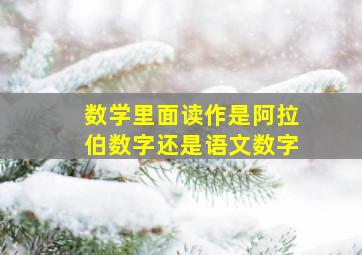 数学里面读作是阿拉伯数字还是语文数字