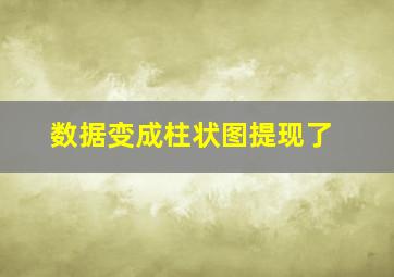 数据变成柱状图提现了