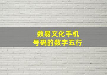 数易文化手机号码的数字五行