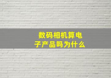 数码相机算电子产品吗为什么