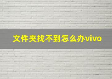 文件夹找不到怎么办vivo