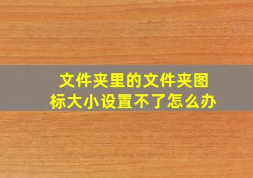 文件夹里的文件夹图标大小设置不了怎么办