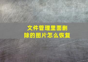 文件管理里面删除的图片怎么恢复