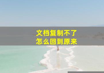 文档复制不了怎么回到原来