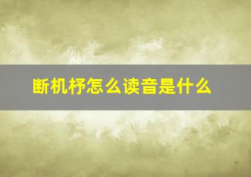 断机杼怎么读音是什么