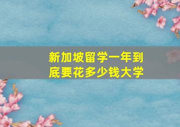 新加坡留学一年到底要花多少钱大学