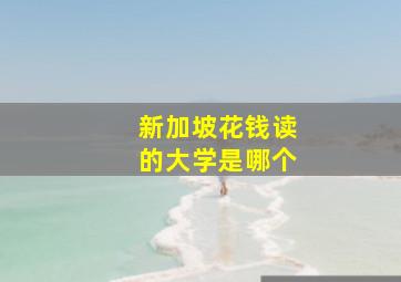 新加坡花钱读的大学是哪个