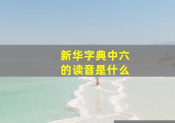 新华字典中六的读音是什么