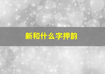 新和什么字押韵