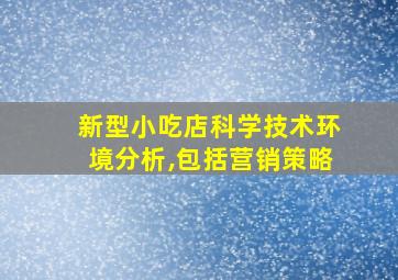 新型小吃店科学技术环境分析,包括营销策略