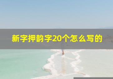 新字押韵字20个怎么写的