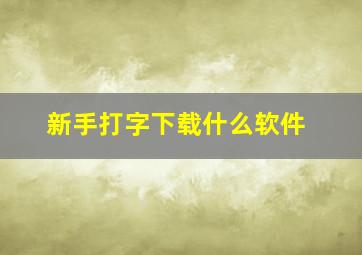 新手打字下载什么软件