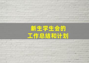 新生学生会的工作总结和计划