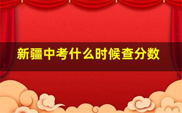 新疆中考什么时候查分数